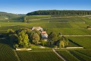 Tasting Two Verticals of Domaine Louis Latour Grand Cru Burgundy
