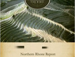 2009 NORTHERN RHONE REPORT
