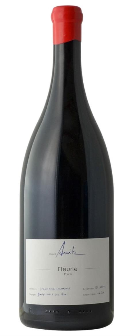 2021 Domaine Anita Fleurie