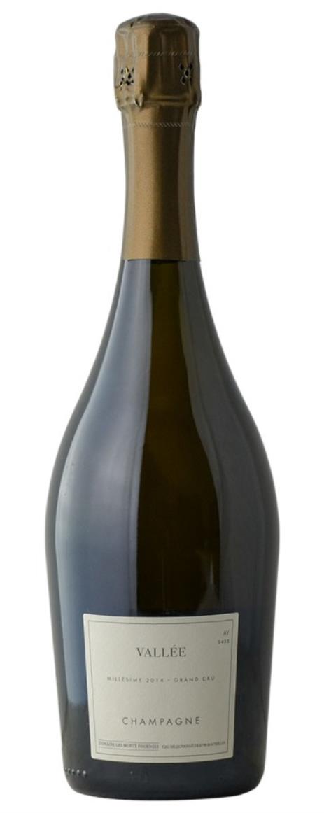 2014 Domaine Les Monts Fournois Vallee Ay Grand Cru