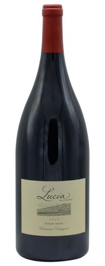 2022 Pisoni Soberanes Pinot Noir