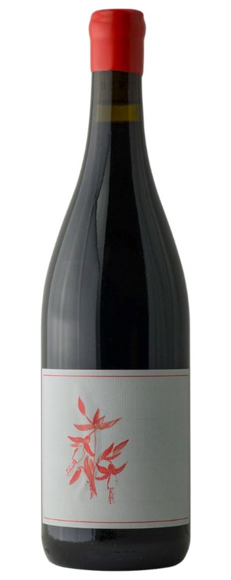 2024 Arnot-Roberts Gamay Ascona Vineyard Santa Cruz